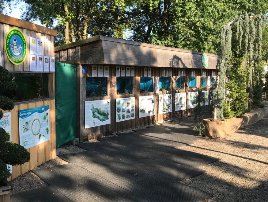 ein Blick auf die Ausstellungsaquarien