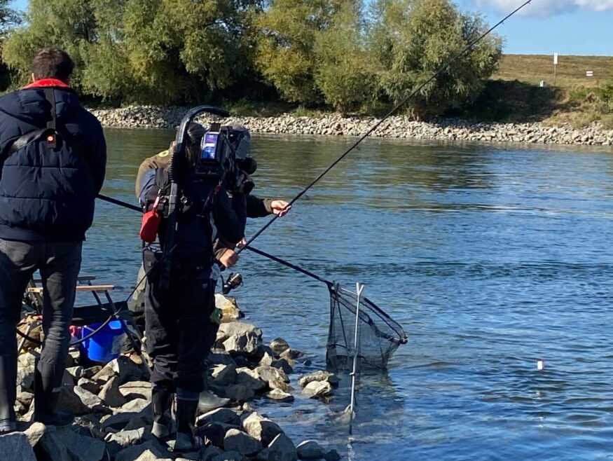 die Fische ließen sich während der Kontrolle nicht vom Biss abhalten