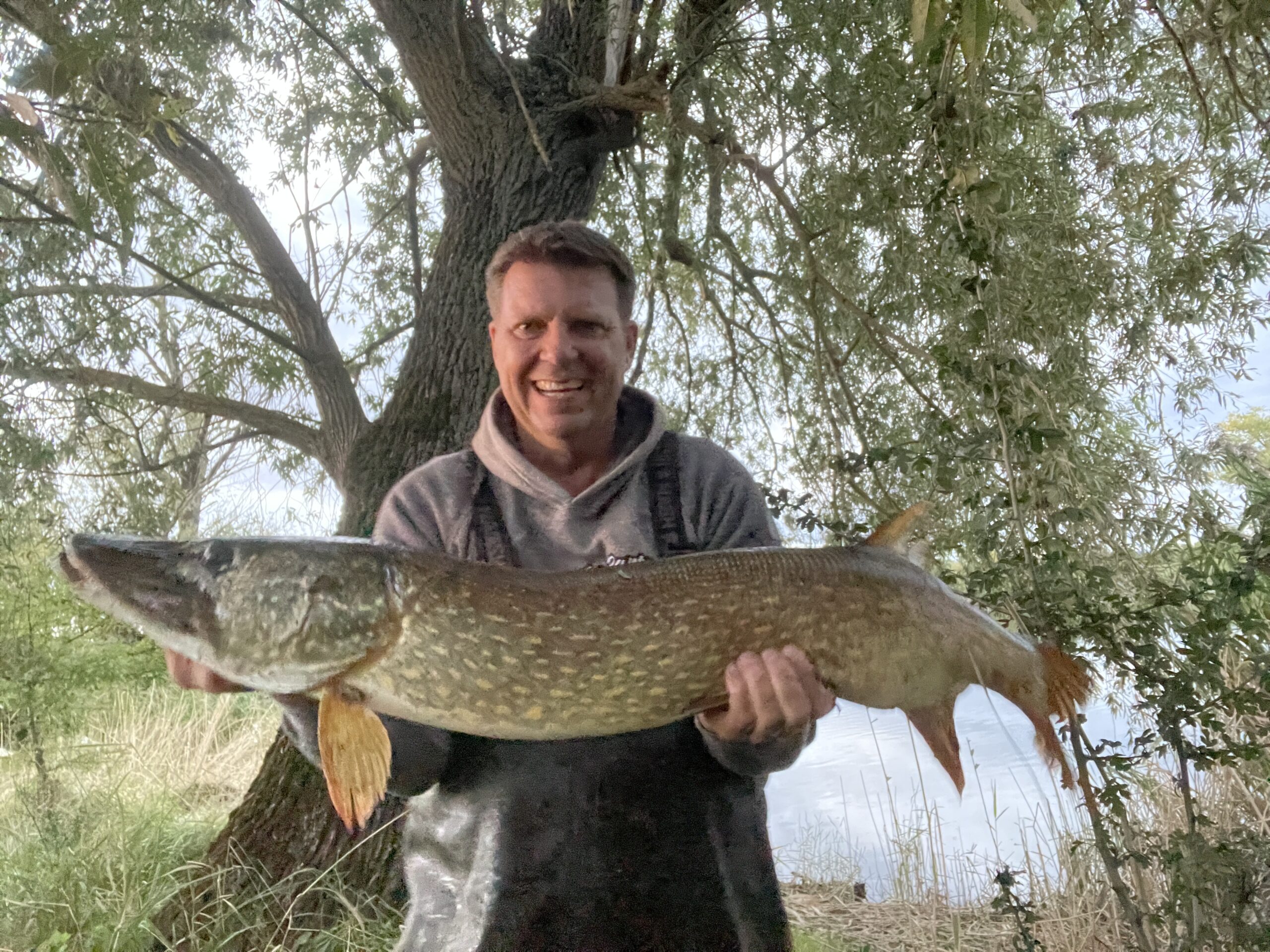 Beim Spinnfischen gelang es Thomas in der Öberauer Schleife, einen beeindruckenden Hecht mit einer Länge von 102 cm zu landen
